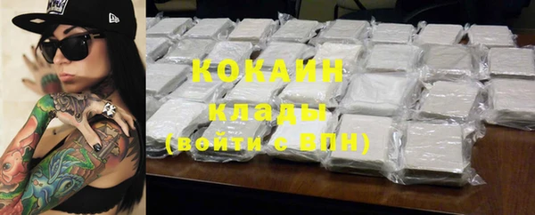 PSILOCYBIN Майский
