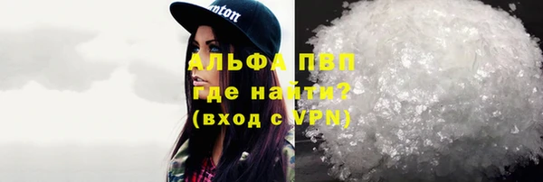PSILOCYBIN Майский