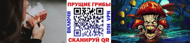 как найти закладки  Людиново  Псилоцибиновые грибы Psilocybe 